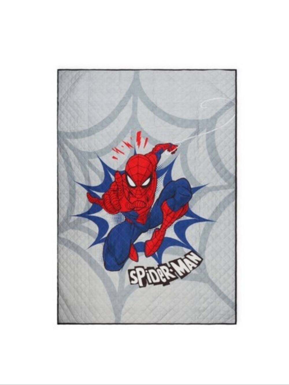 Spider-Man Twin Quilt Set